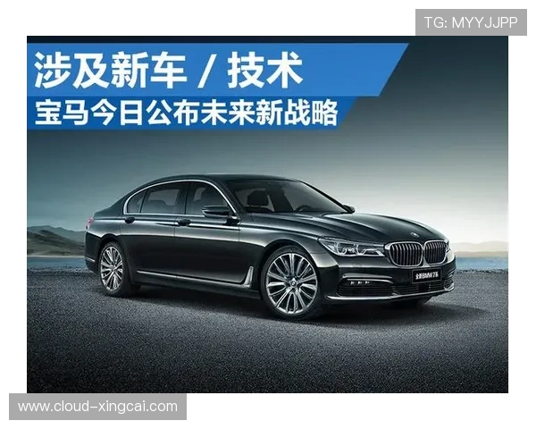 莱斯特城俱乐部的发展历程与未来战略分析